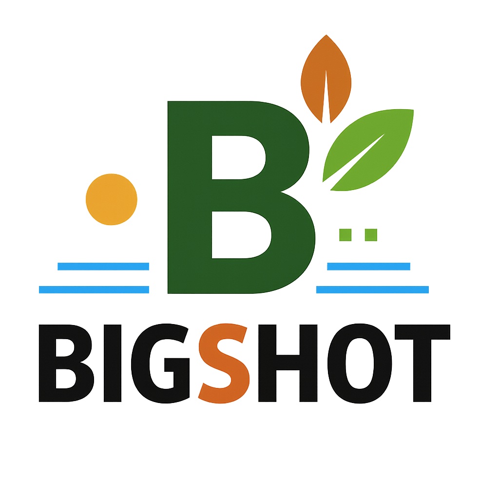 Official BigShot logo